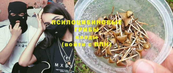 крисы Козельск